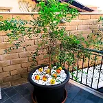 Casetta Il Melograno San Filippo Gemelli Апартаменты *