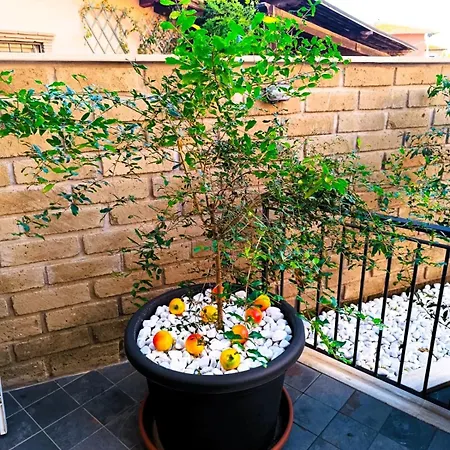 Casetta Il Melograno San Filippo Gemelli דירה *